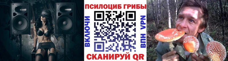 Псилоцибиновые грибы прущие грибы Каргат